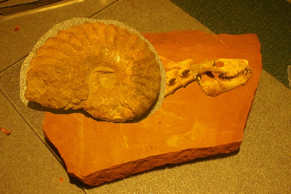 Creation of Whatchamacallitasaurus: Step 10